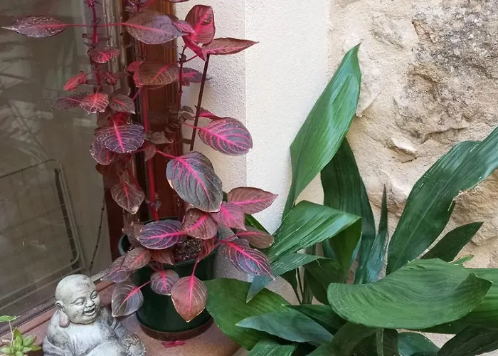 L'esgorfa D'arnes *